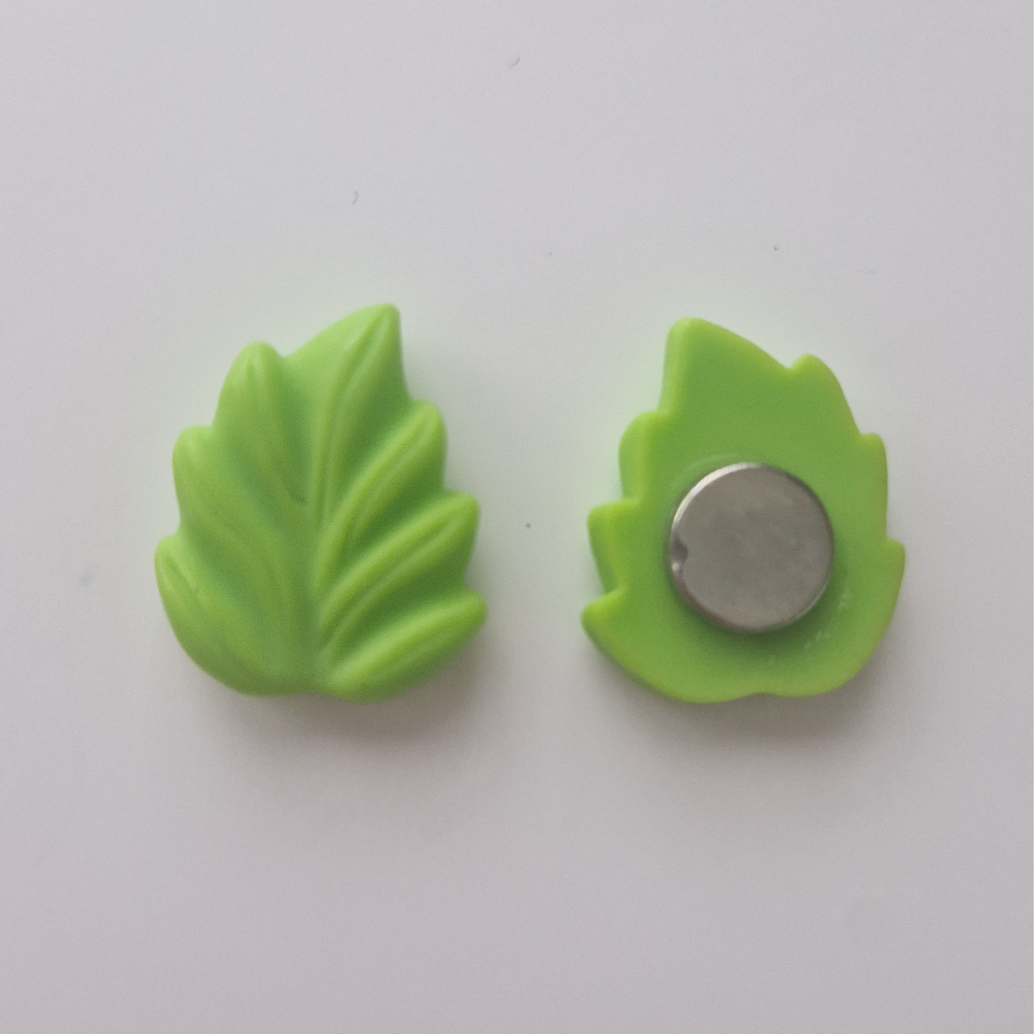 Blatt Magnet