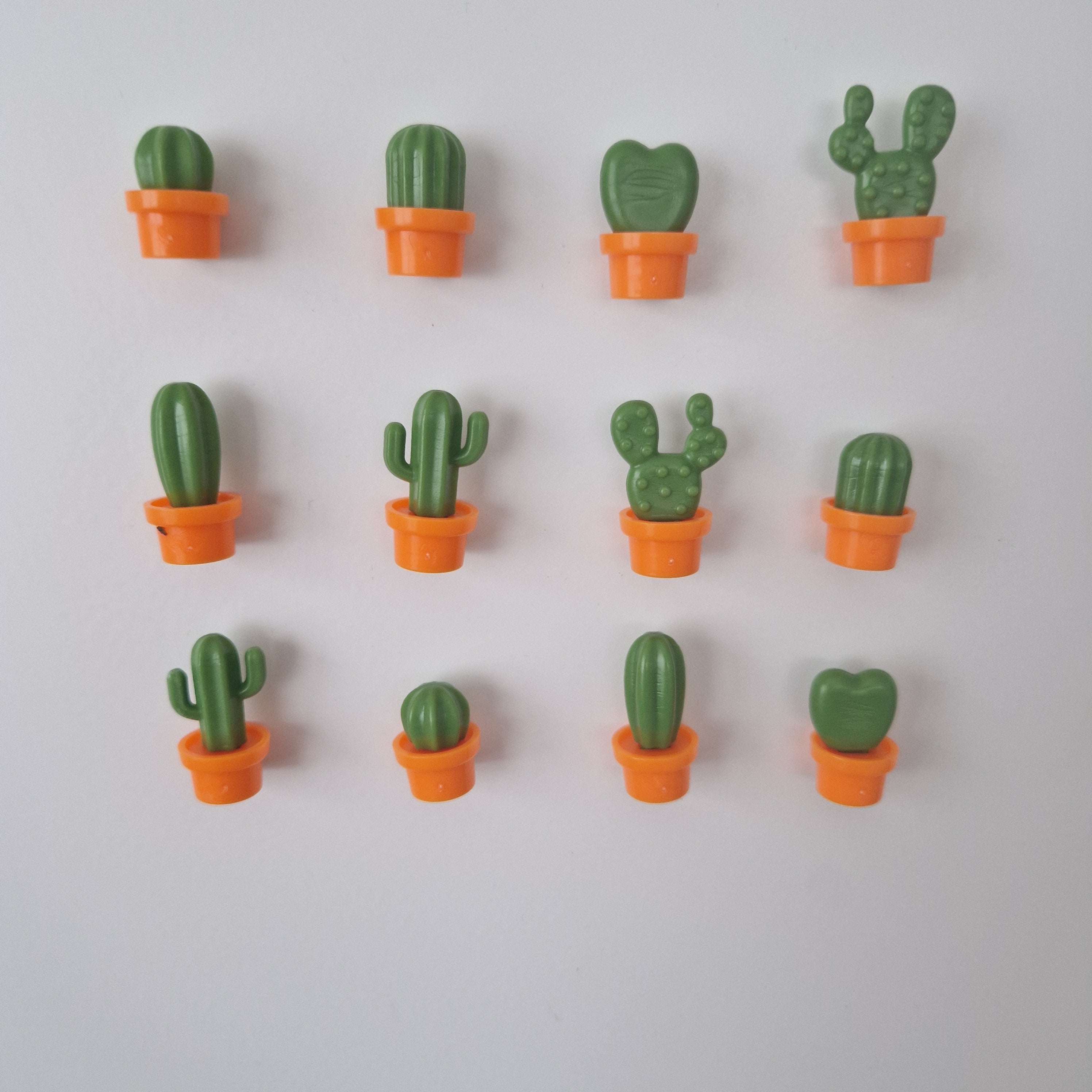 Kaktus Magnet