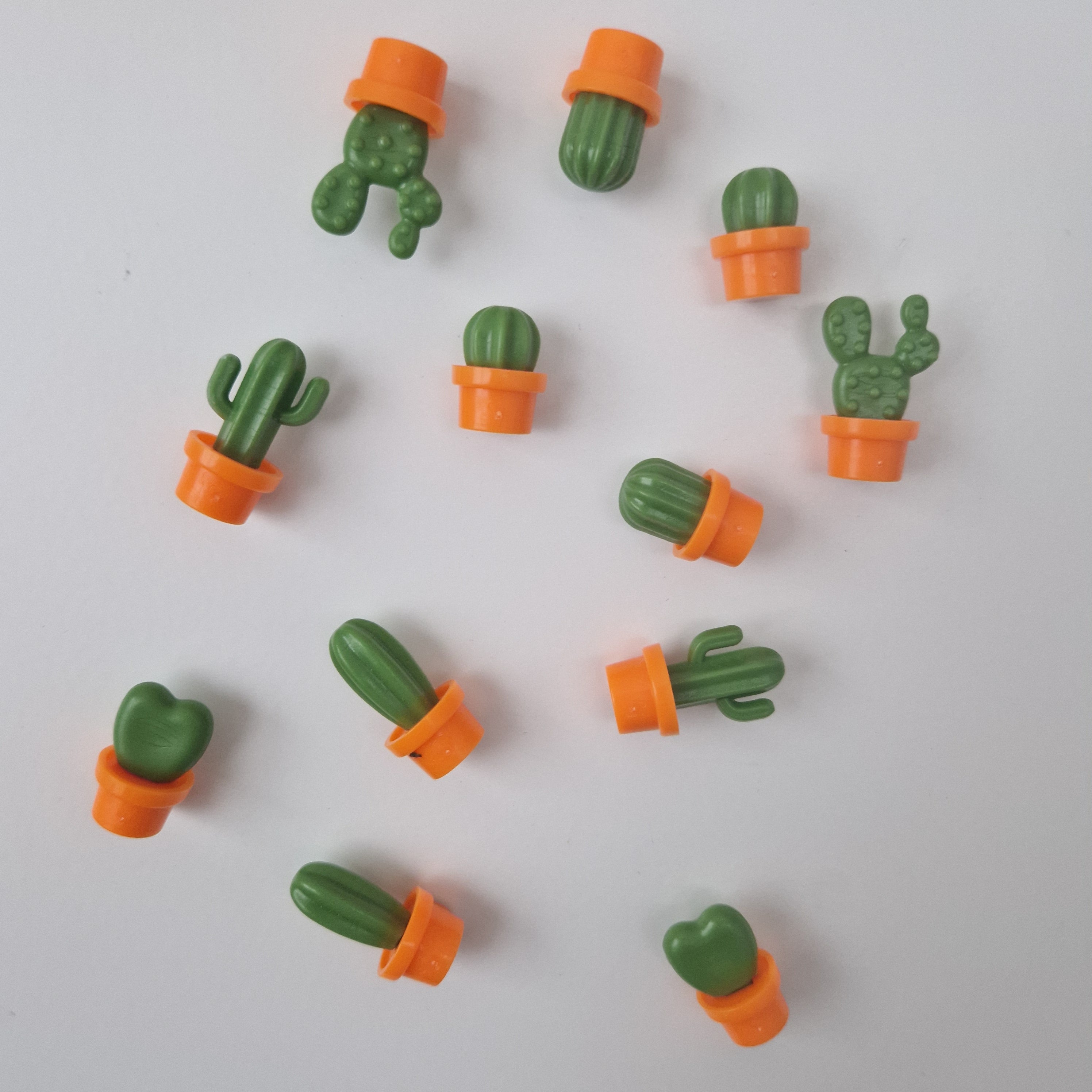 Kaktus Magnet