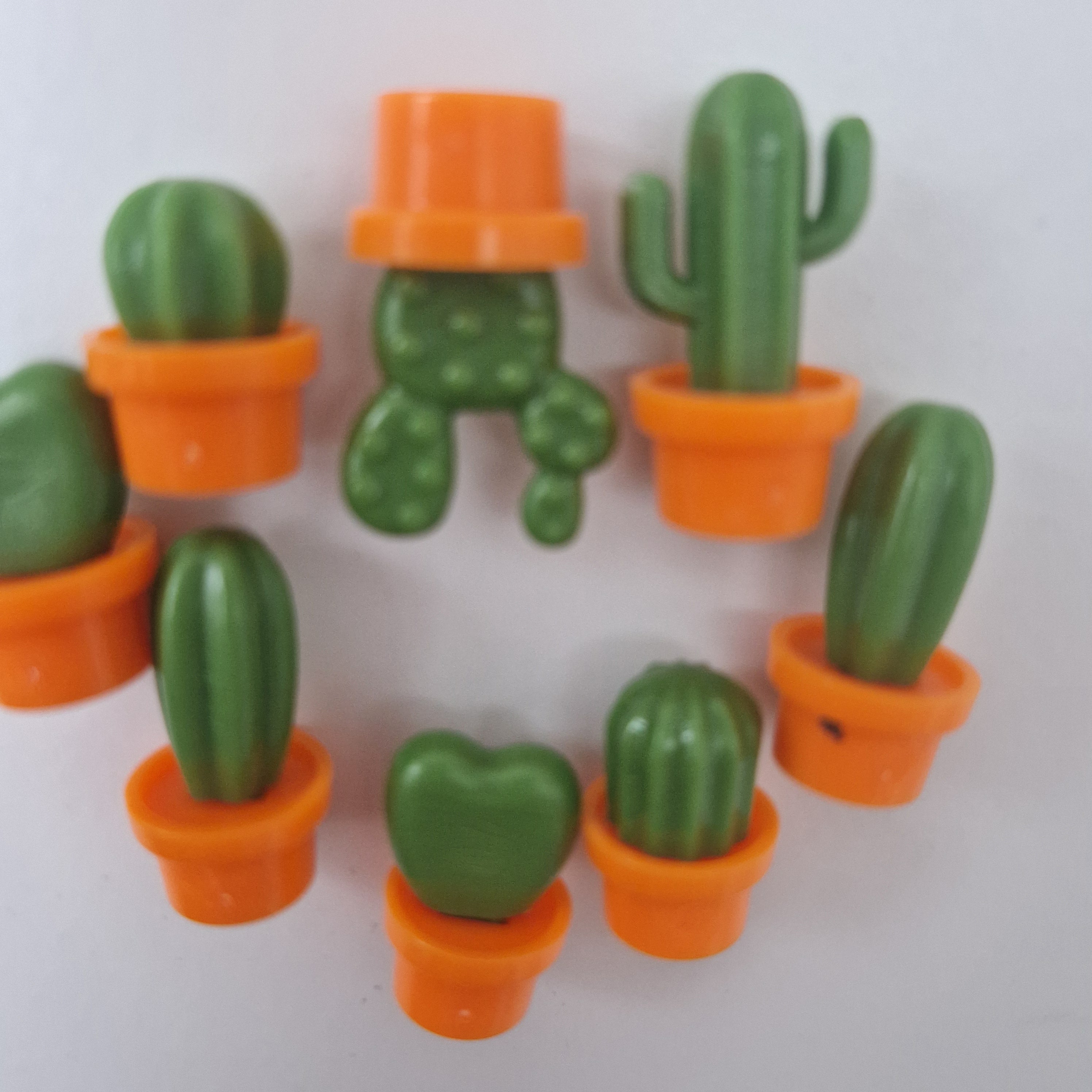 Kaktus Magnet