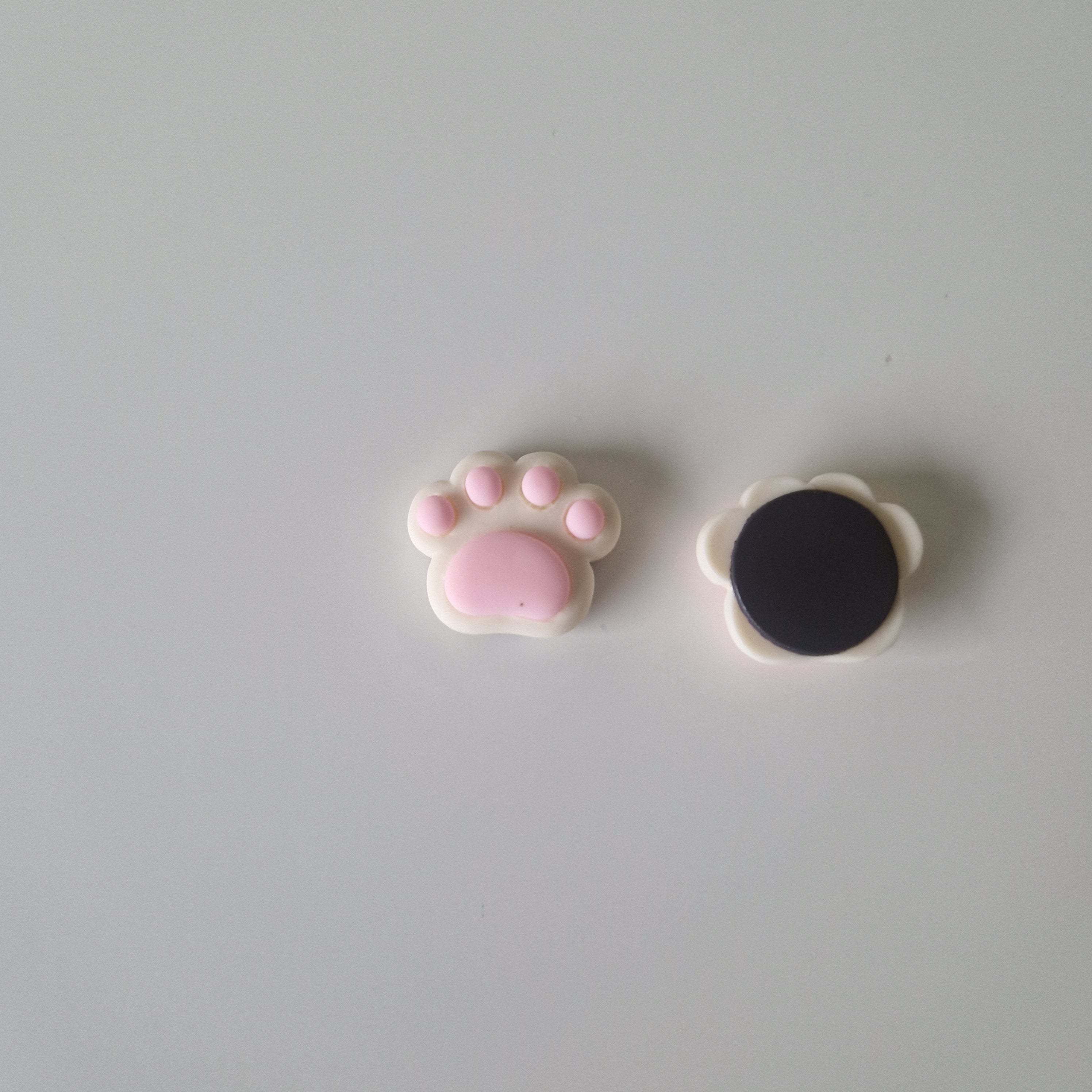 Pfoten Magnet