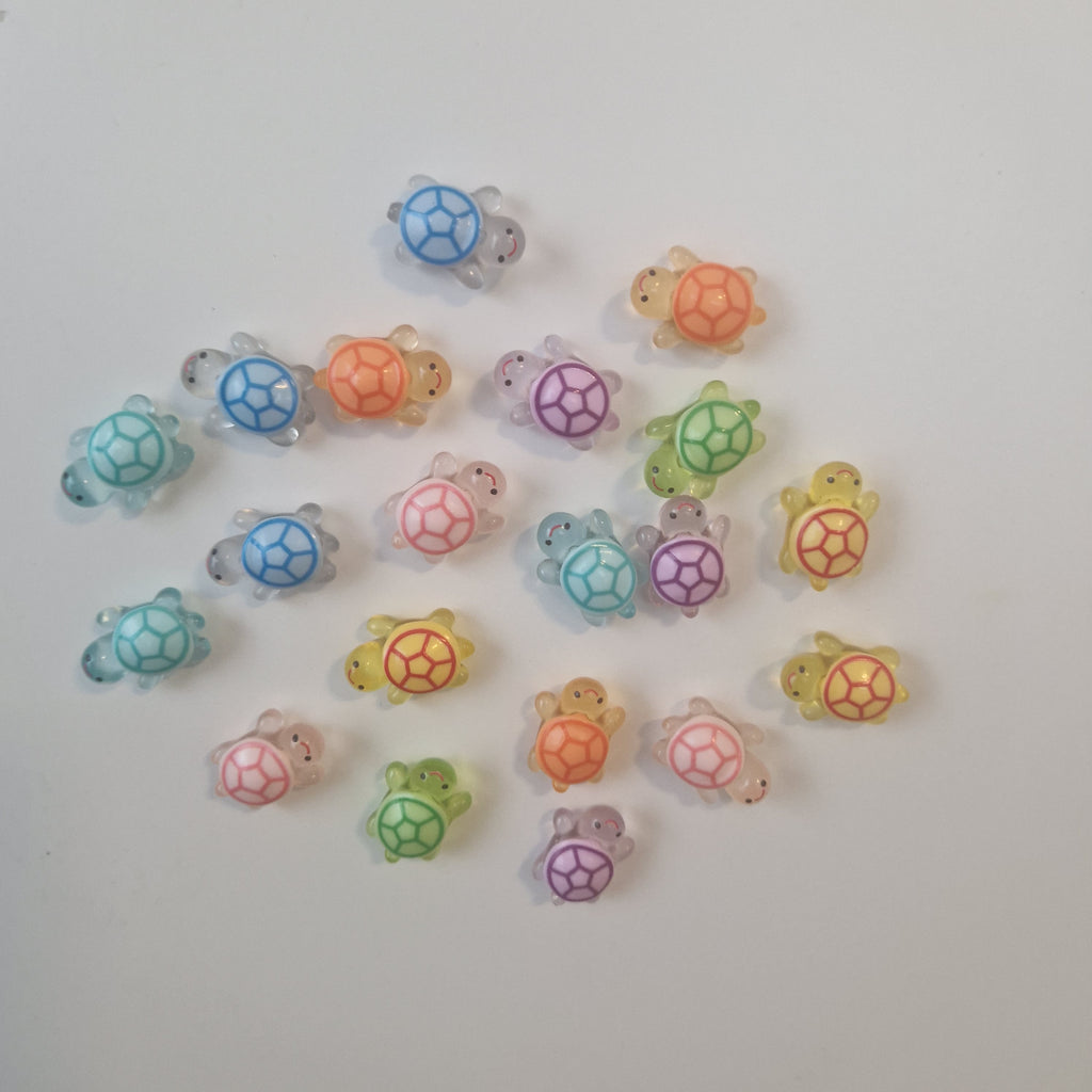 Schildkröten Magnet