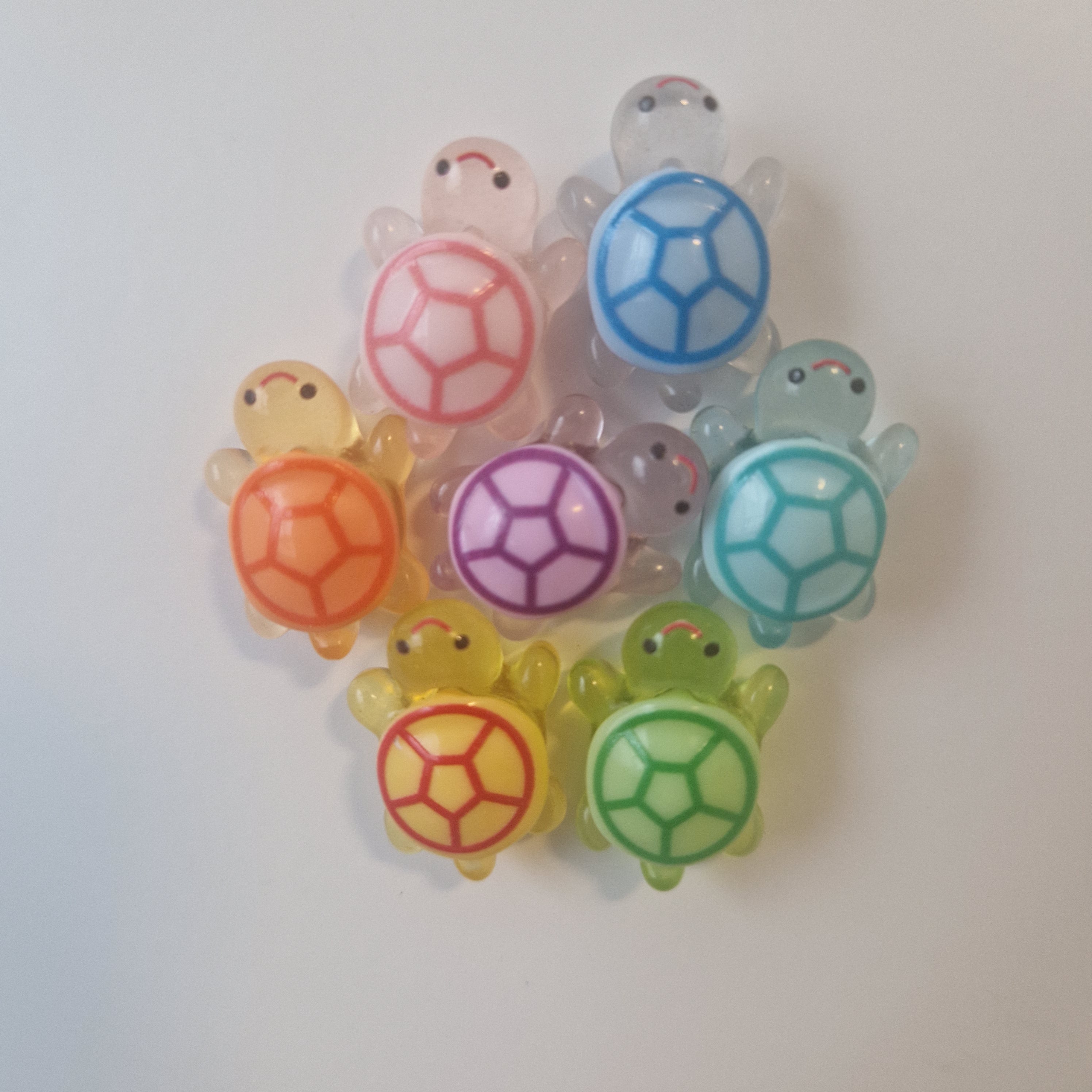 Schildkröten Magnet