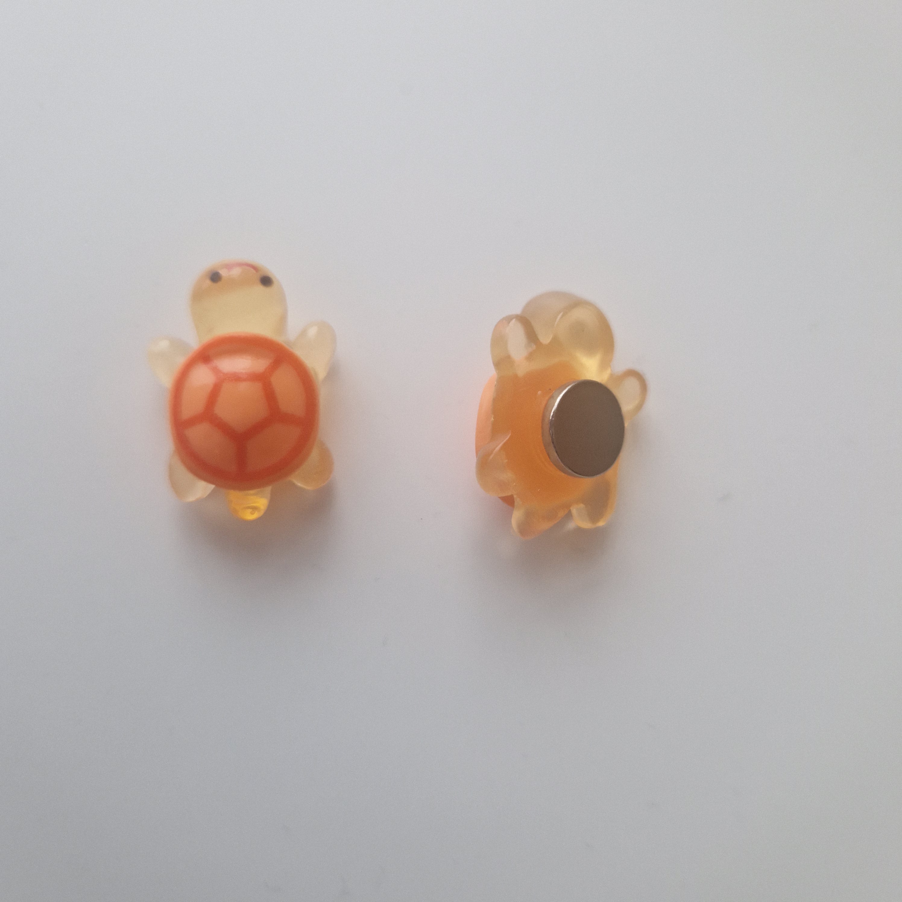 Schildkröten Magnet