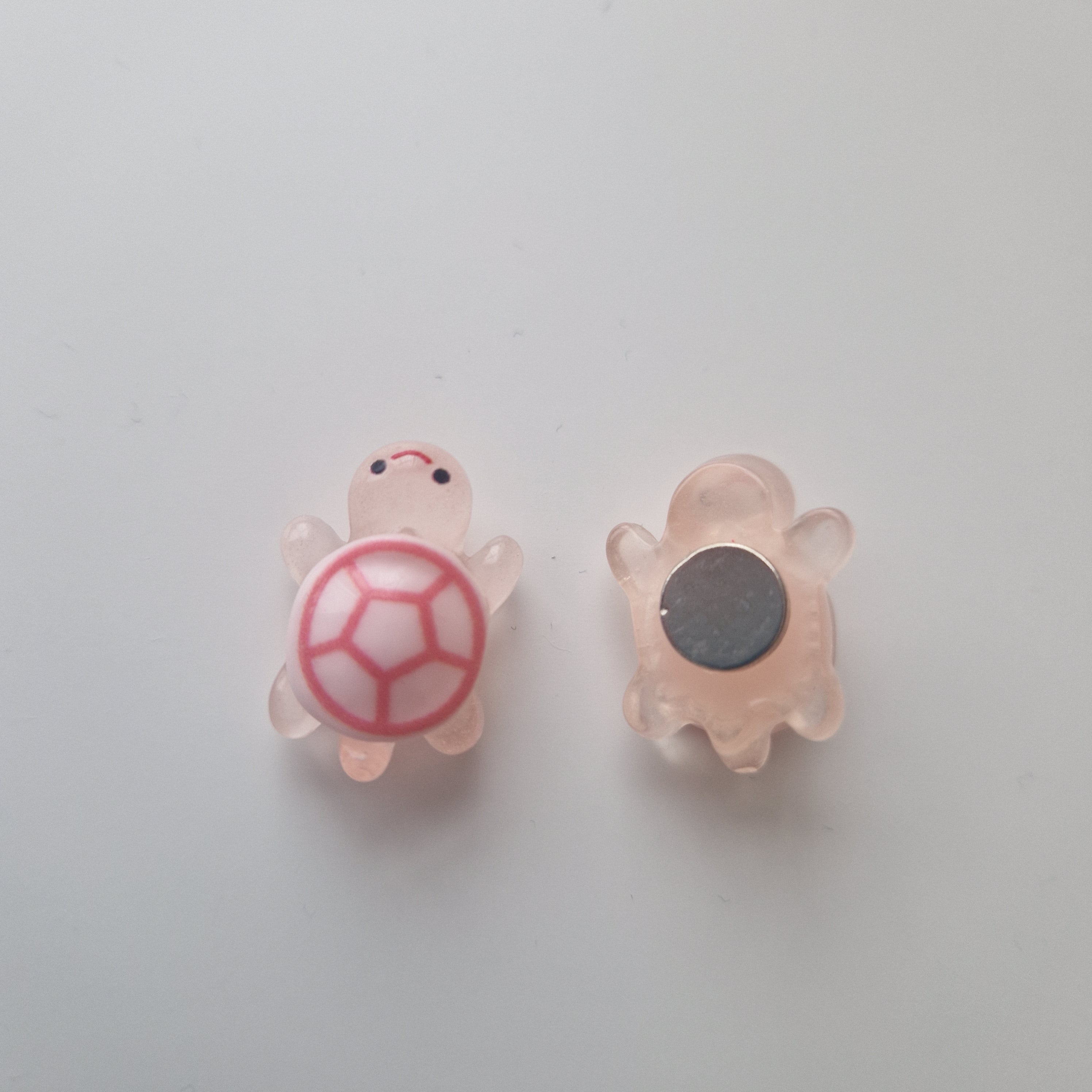 Schildkröten Magnet