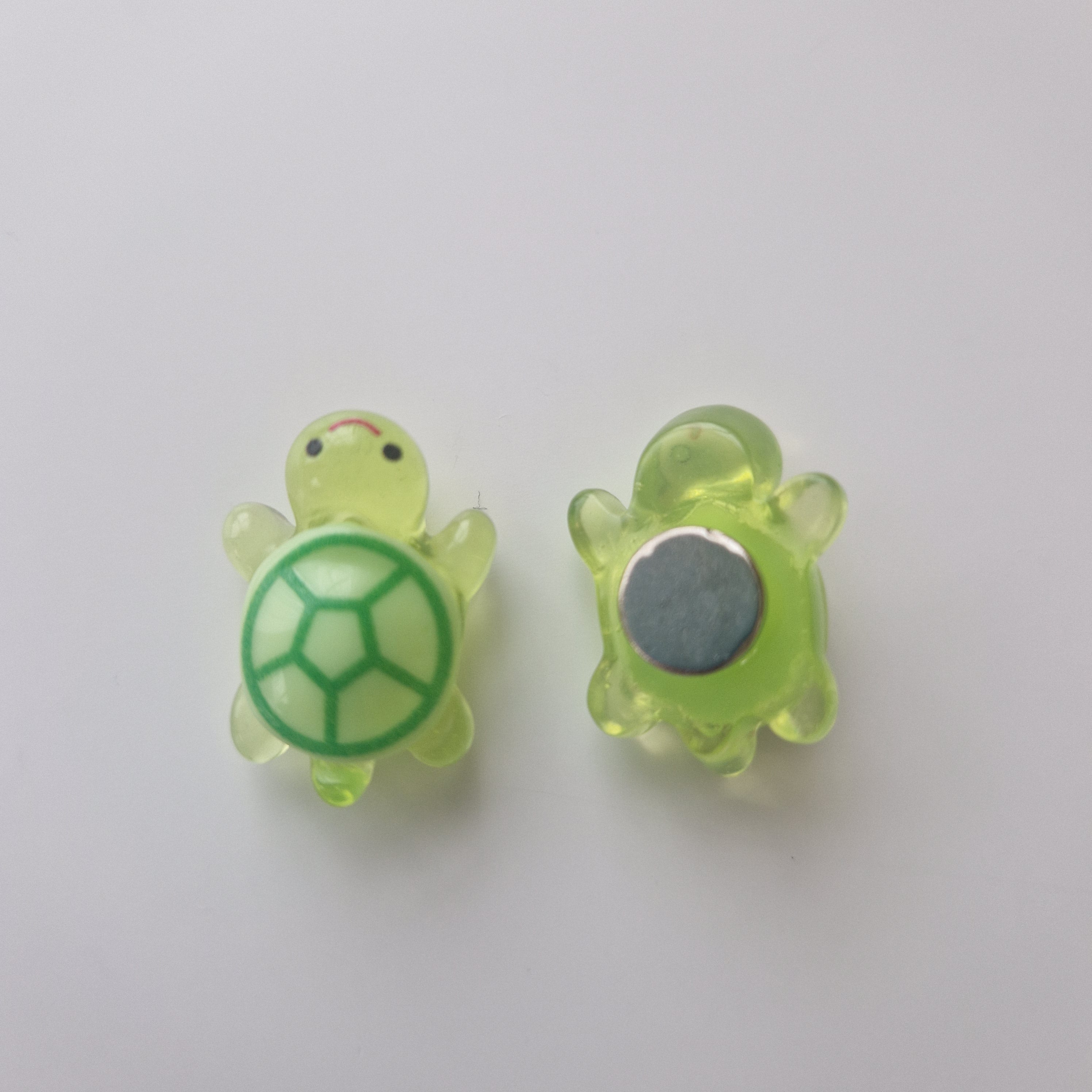 Schildkröten Magnet