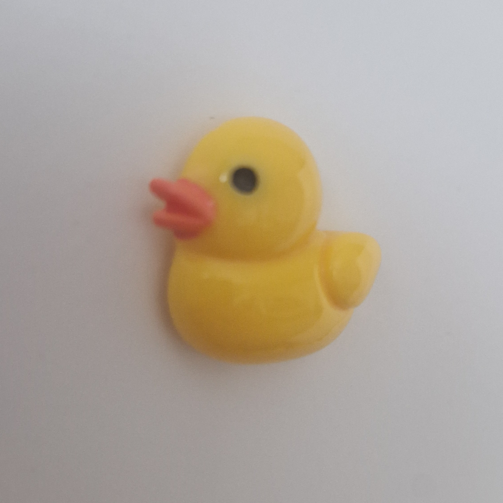 Enten Magnet