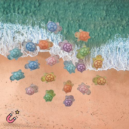 Schildkröten Magnet